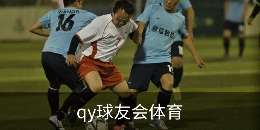 qy球友会体育简介